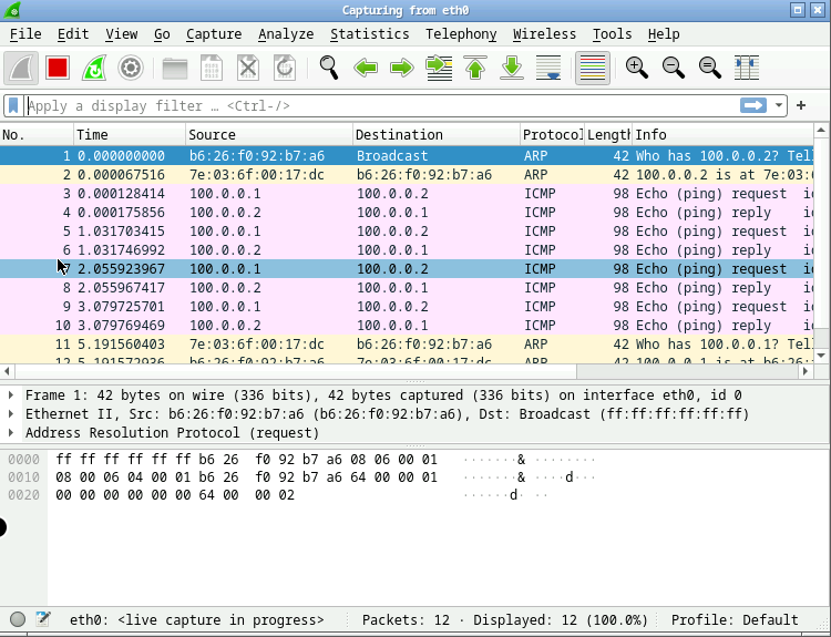 Wireshark Packets