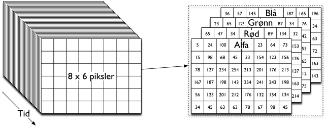 A video file is just a collection of numbers