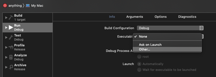 Xcode Scheme Arguments