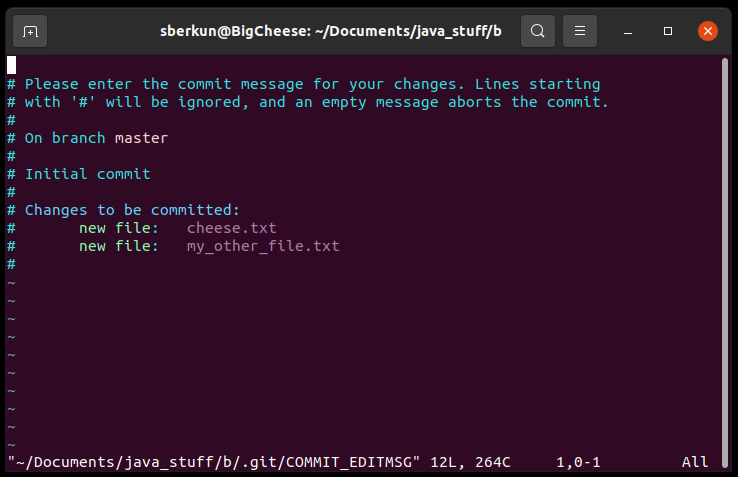 a screenshot of vim