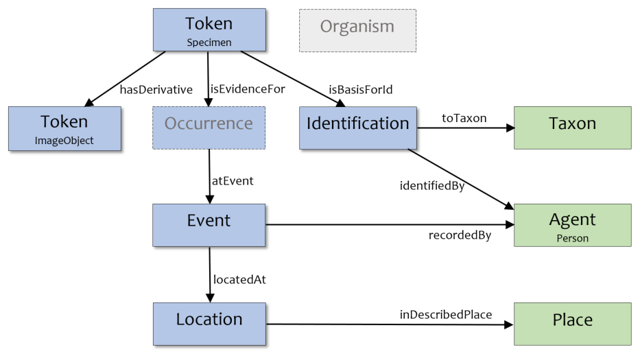 Entity model diagram